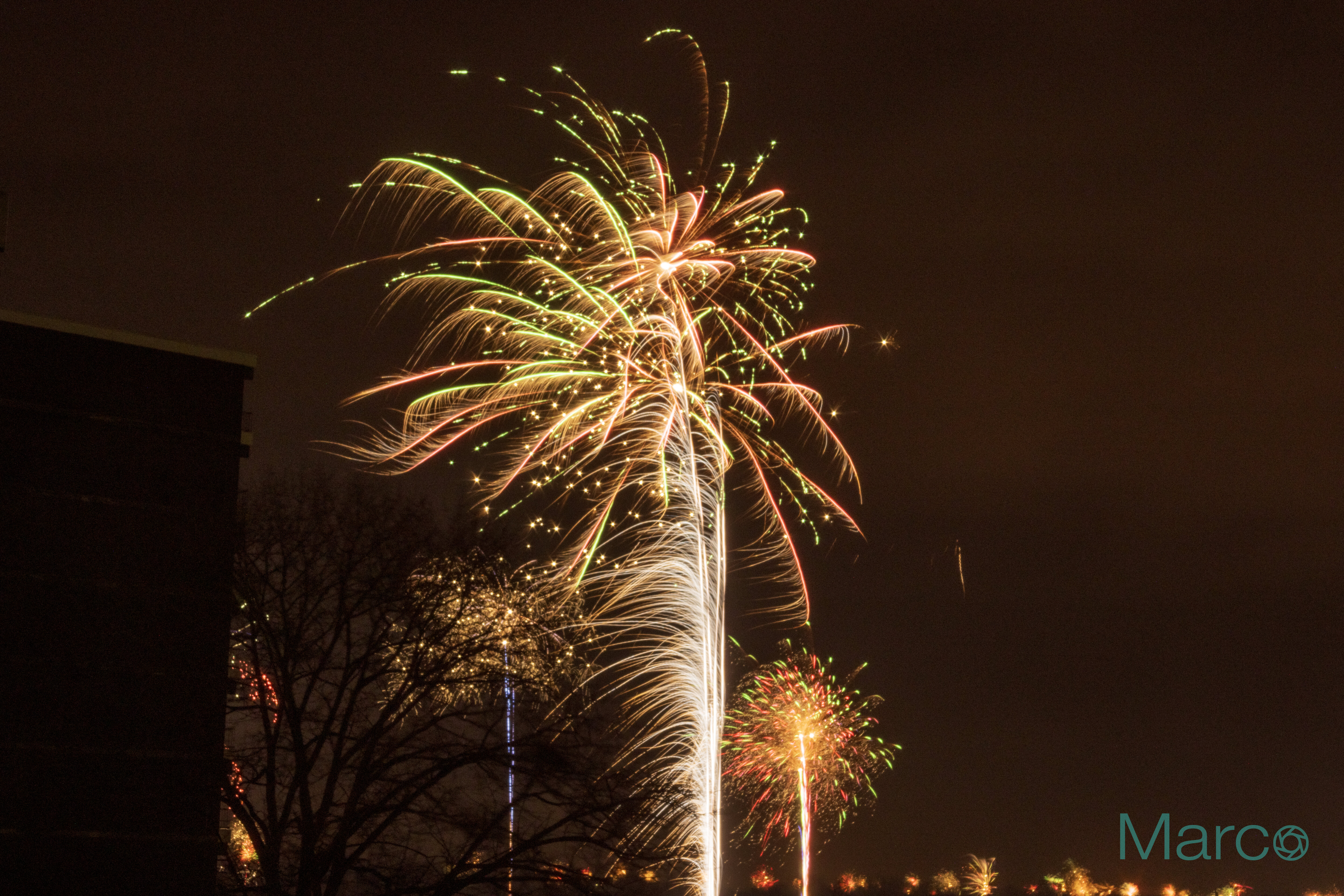 Feliz Año Nuevo