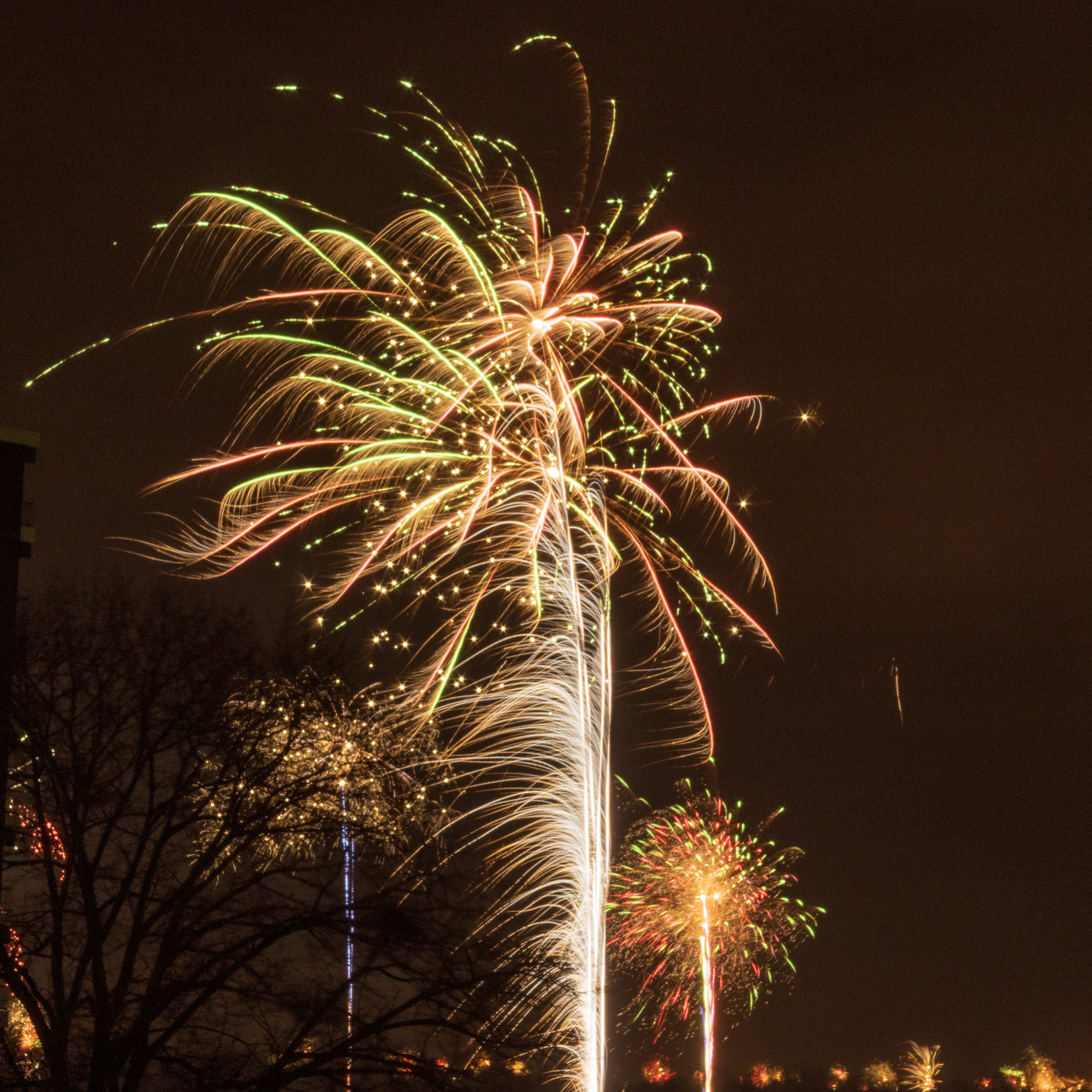 Feliz Año Nuevo